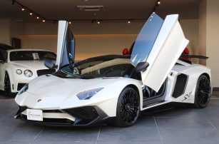 ランボルギーニ　アヴェンタドールロードスターSV